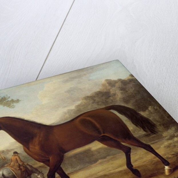 The Godolphin Arabian by John Wootton