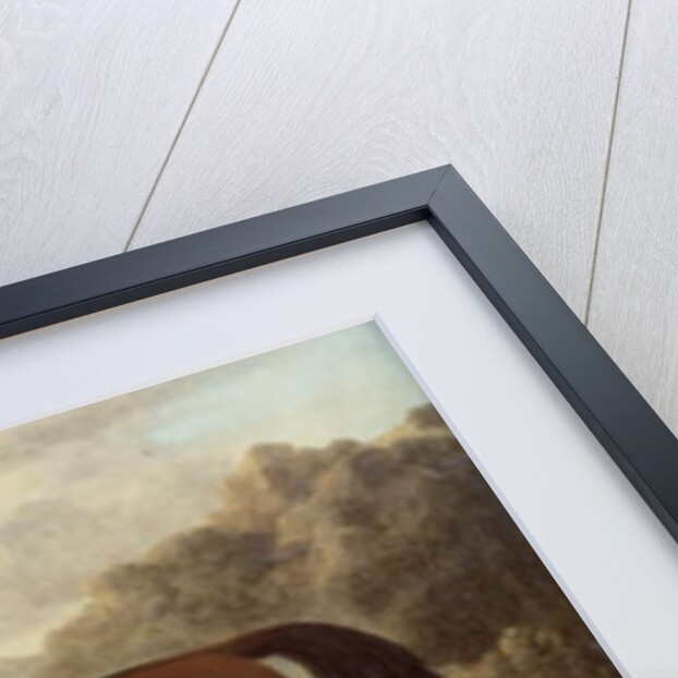 The Godolphin Arabian by John Wootton