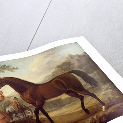 The Godolphin Arabian by John Wootton