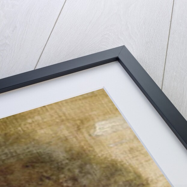 Study of Perseus, 1876 by Edward Coley Burne-Jones