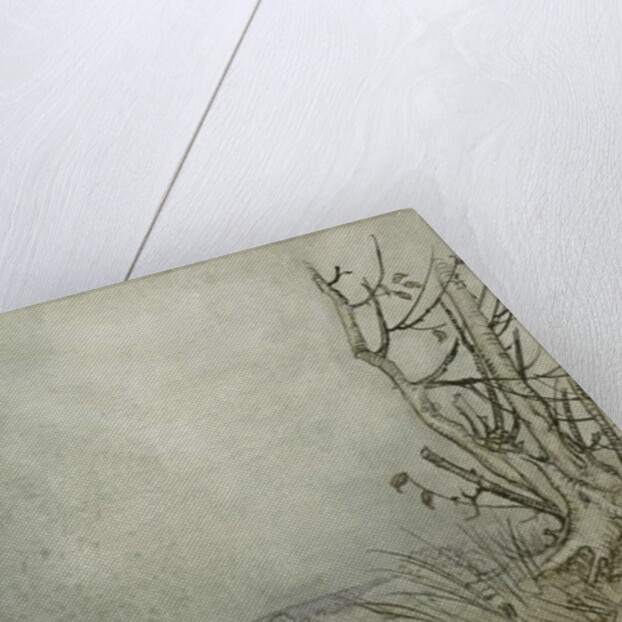 The White Rabbit by Arthur Rackham