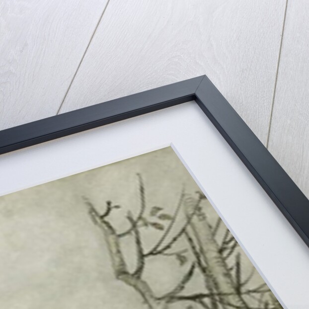 The White Rabbit by Arthur Rackham