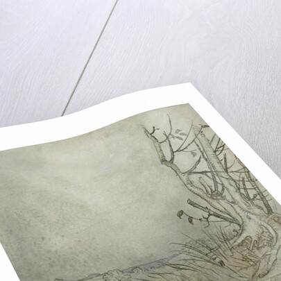 The White Rabbit by Arthur Rackham