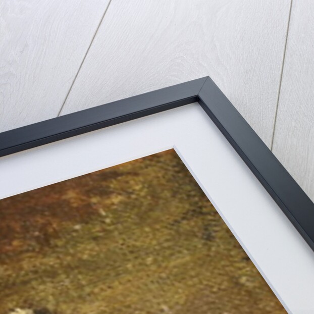 Sketch for Lady Worsley, c.1776 by Joshua Reynolds