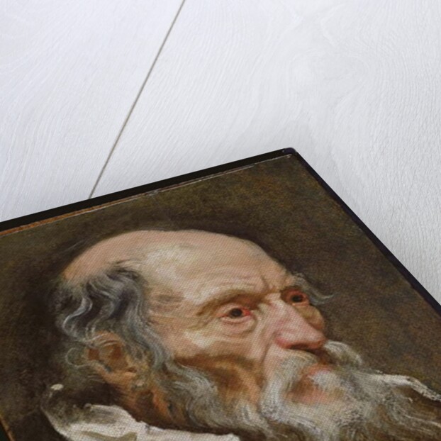 Portrait of an old man by Anthony van (attr. to) Dyck