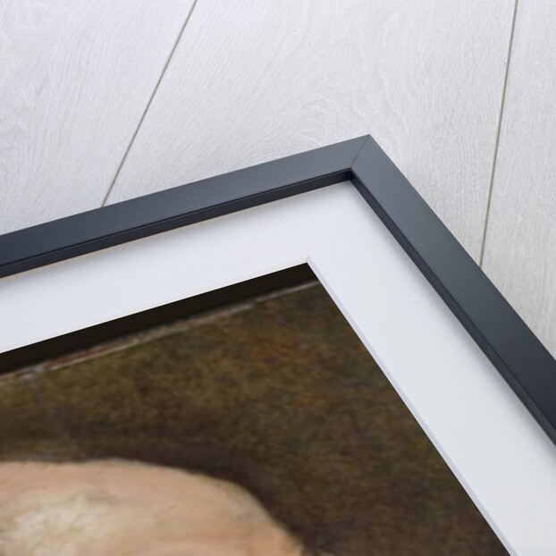 Portrait of an old man by Anthony van (attr. to) Dyck