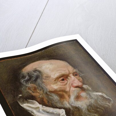 Portrait of an old man by Anthony van (attr. to) Dyck