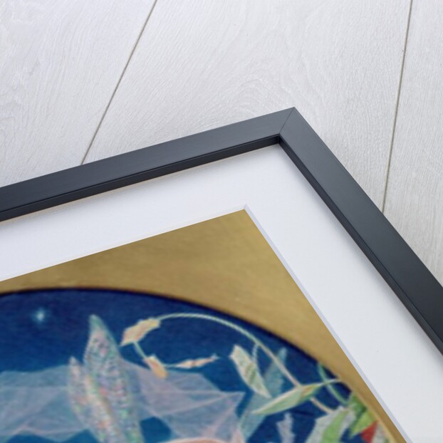 The Morning Glory Fairy by John Simmons