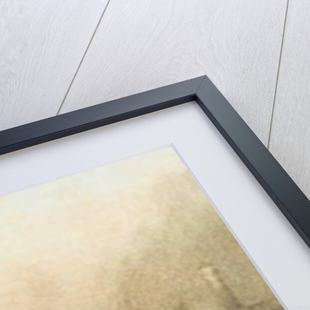 Grace Darling and her father row to the rescue of the Forfarshire wrecked off the Northumberland coast, 7th September 1838 by English School