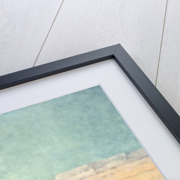 The Water Hole by Stanley L. Wood