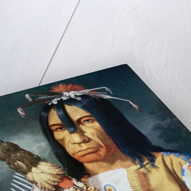 Native American Chief of the Cree people of Canada, 1848 by Paul Kane