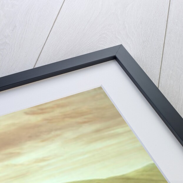 Sioux Indians hunting buffalo, 1835 by George Catlin