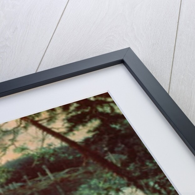 Salmon Fishing by A Jansson