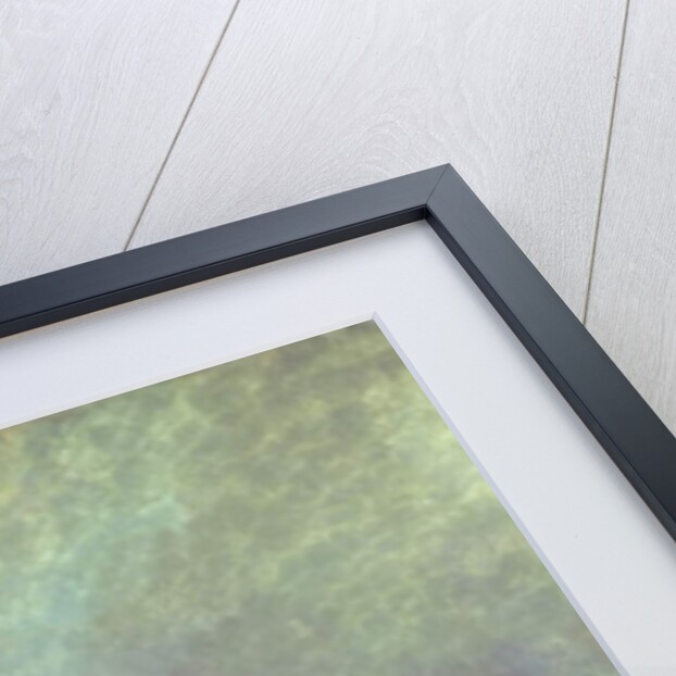 Sioux mother and baby, c.1830 by George Catlin