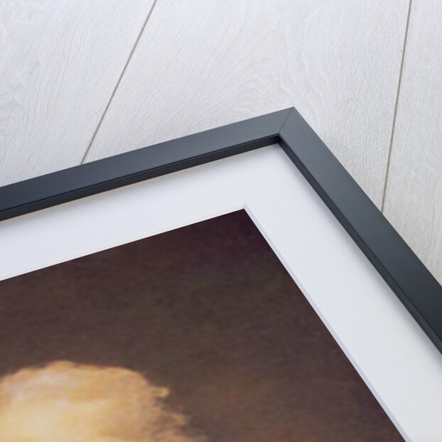 Alexander Hamilton c.1806 by John Trumbull