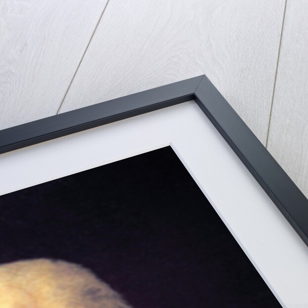 Major General Frederick Haldimand by Lemuel Francis Abbott