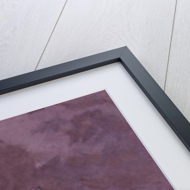 Spanish-American War 1898, Battle of Santiago de Cuba, 1900 by Stoewer Willy