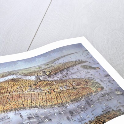 Manhattan Island, 1884 by American School