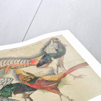 Lady Amherst's Pheasant by Theo van Rysselberghe