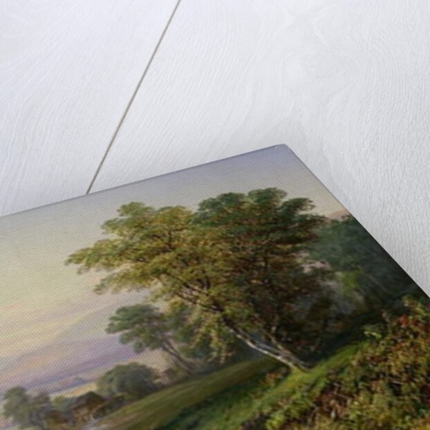 Scene near the Cherry Valley Mountains by Henry Boese