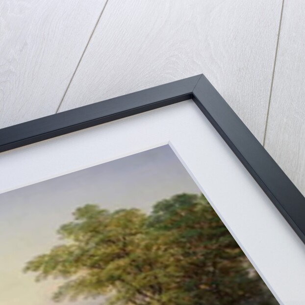 Scene near the Cherry Valley Mountains by Henry Boese