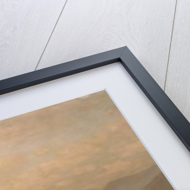 Lake Placid and the Adirondack Mountains from Whiteface, 1878 by James David Smillie