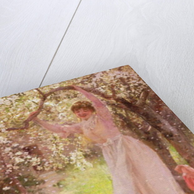 Falling Apple Blossoms by Hamilton Hamilton