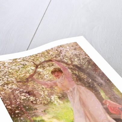 Falling Apple Blossoms by Hamilton Hamilton