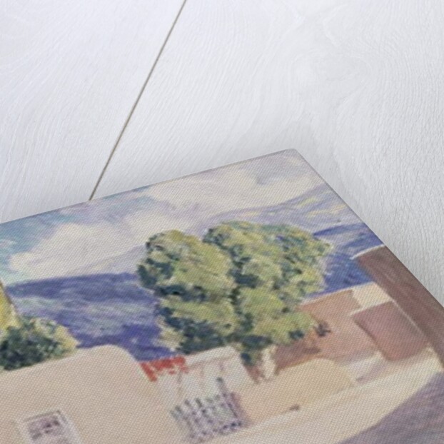 Red Chiles by Orrin Sheldon Parsons