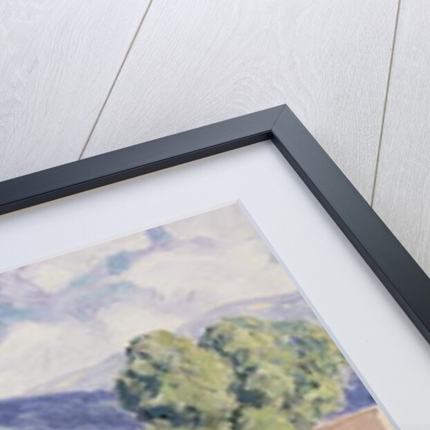 Red Chiles by Orrin Sheldon Parsons