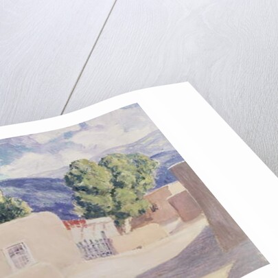 Red Chiles by Orrin Sheldon Parsons