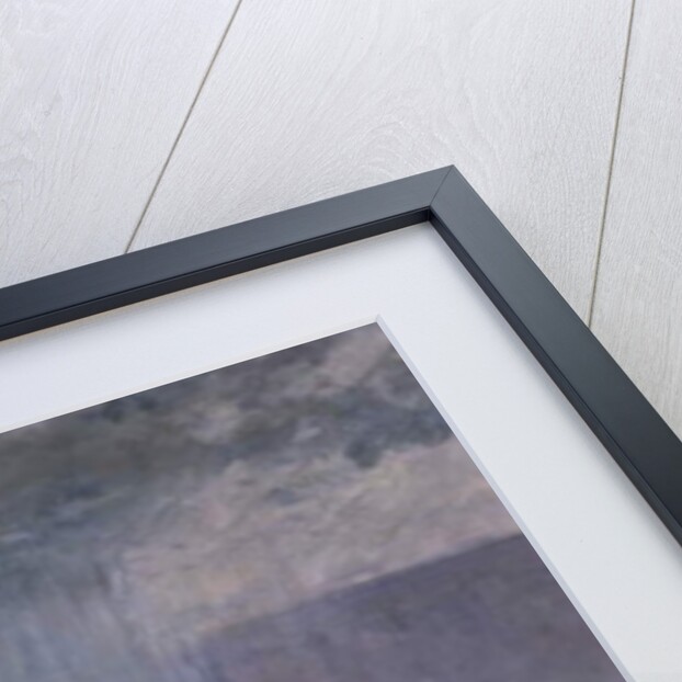 After the Storm, c.1903-06 by Frank Paul Sauerwein