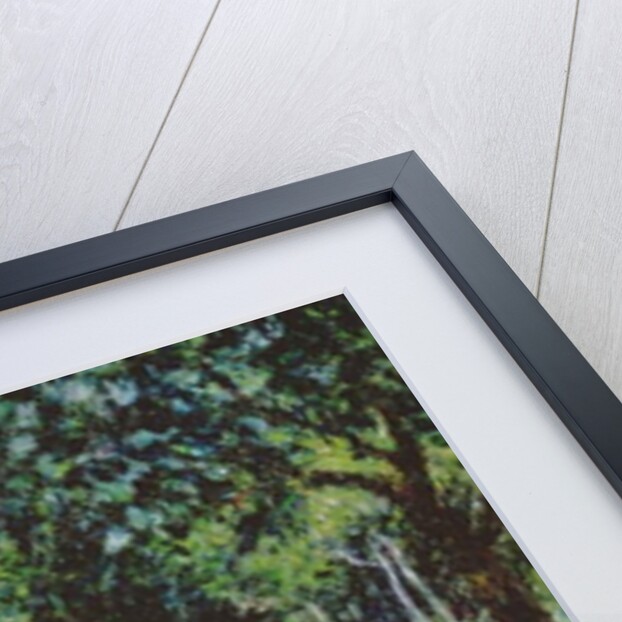 Women in a Garden, 1873 by Pierre Auguste Renoir