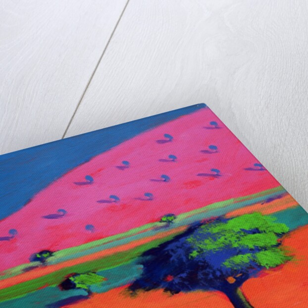 Pink Hill by Paul Powis