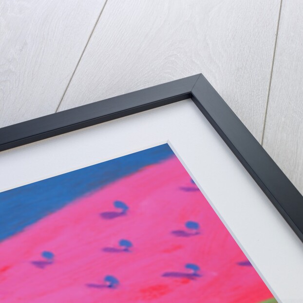 Pink Hill by Paul Powis