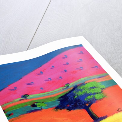 Pink Hill by Paul Powis