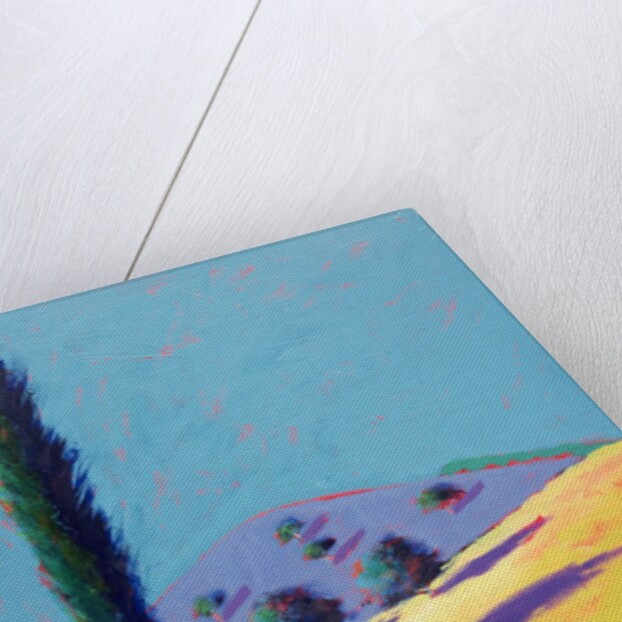 Golden Valley by Paul Powis