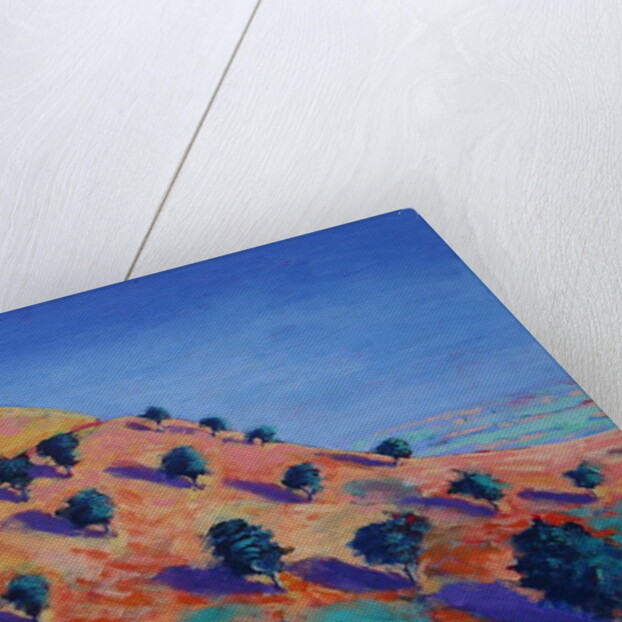 North Hill, Malvern by Paul Powis