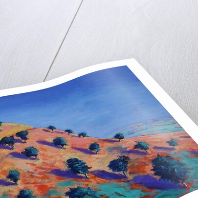 North Hill, Malvern by Paul Powis