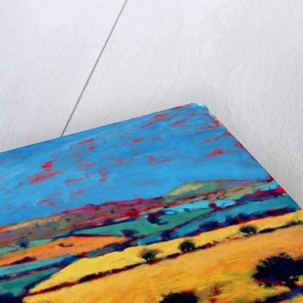 Golden Valley by Paul Powis