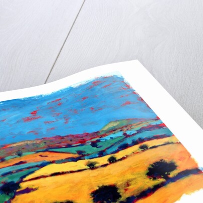 Golden Valley by Paul Powis