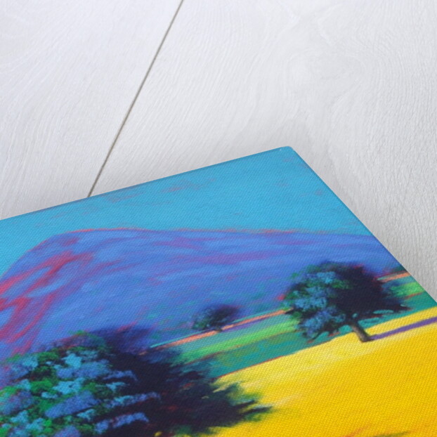 Castlemorton by Paul Powis