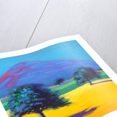 Castlemorton by Paul Powis