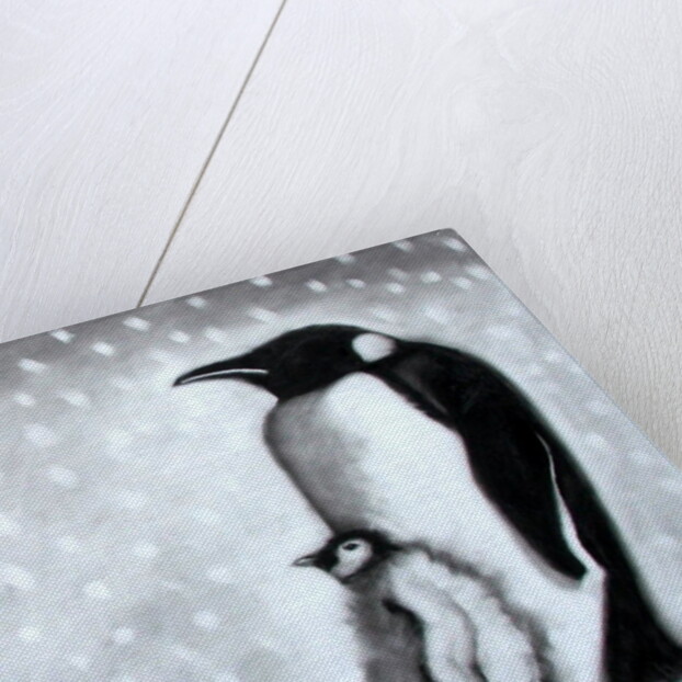 Father & Son by Paul Powis