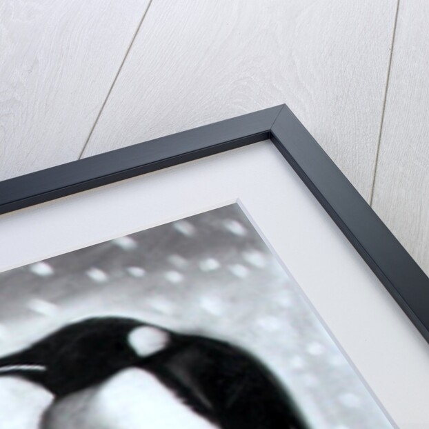 Father & Son by Paul Powis