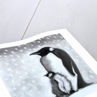 Father & Son by Paul Powis