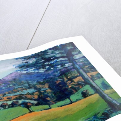 Misty Morning by Paul Powis