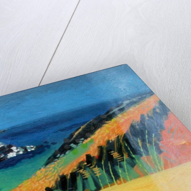 Pembroke by Paul Powis