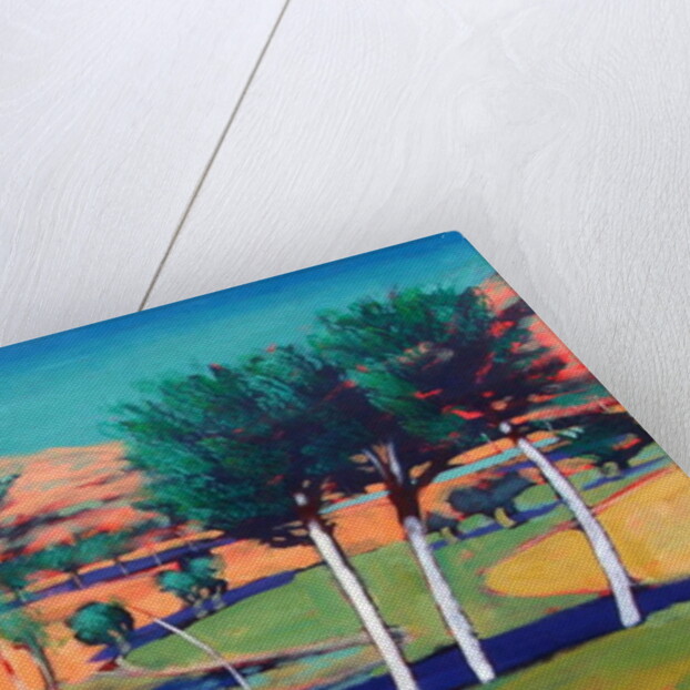 Son Vida 3, 2010 by Paul Powis