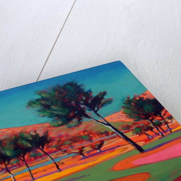 Son Vida 2 by Paul Powis